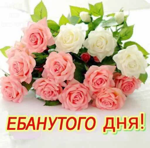 ёбаный рот этого казино - 