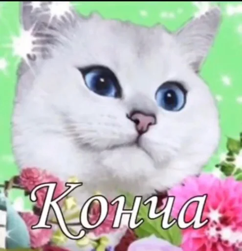 Стикер ёбаный рот этого казино - 6