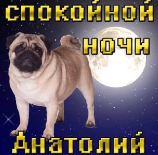 Стикер ёбаный рот этого казино - 10