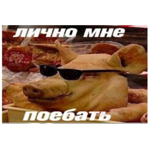 СМС фаст-фуд закуска