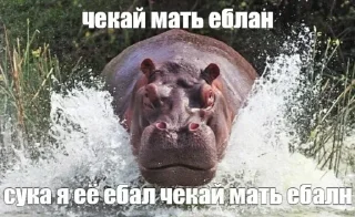 Стикер Больше стикеров 👉🏻 @stickertg4 - 0