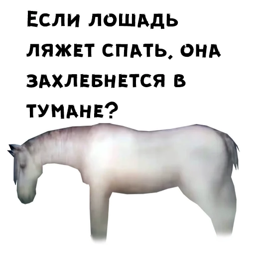 Sticker Ёжик в тумане - 10