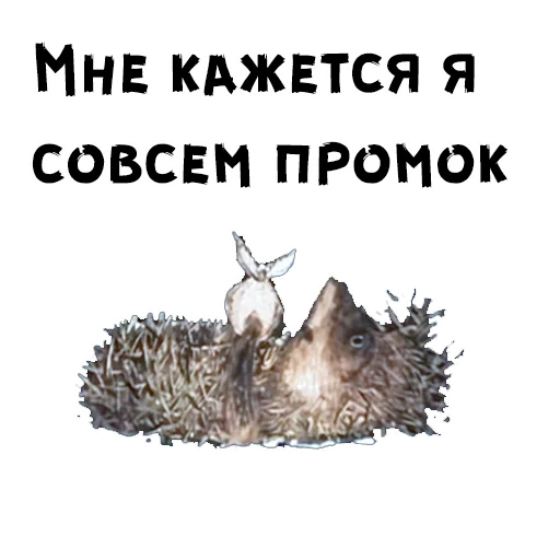 Sticker Ёжик в тумане - 9