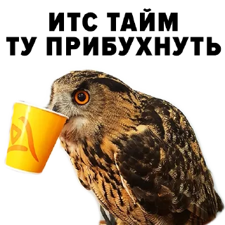 Sticker Зоодурдом - 10