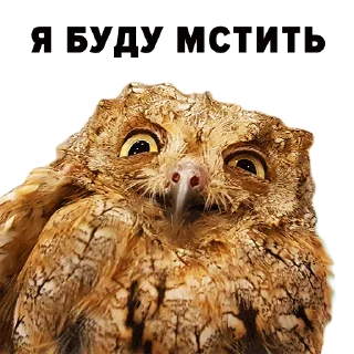 Sticker Зоодурдом - 0