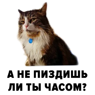 Sticker Зоодурдом - 1