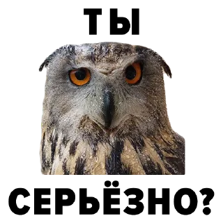 Sticker Зоодурдом - 6