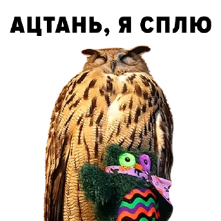 Sticker Зоодурдом - 11