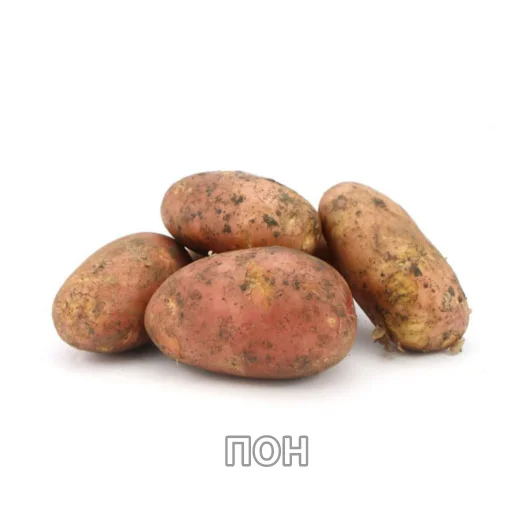 Sticker Ты типо токсек - 5