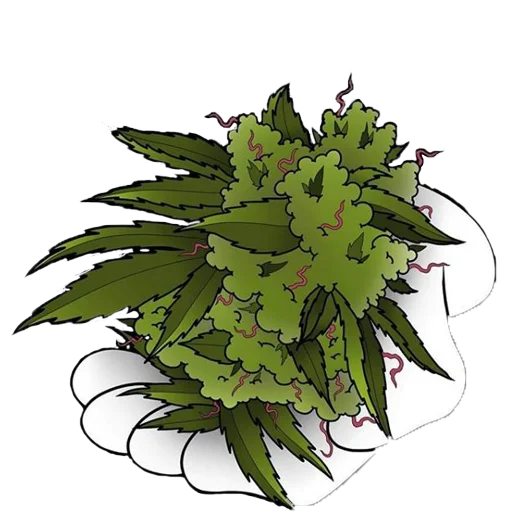 растение цветок лист