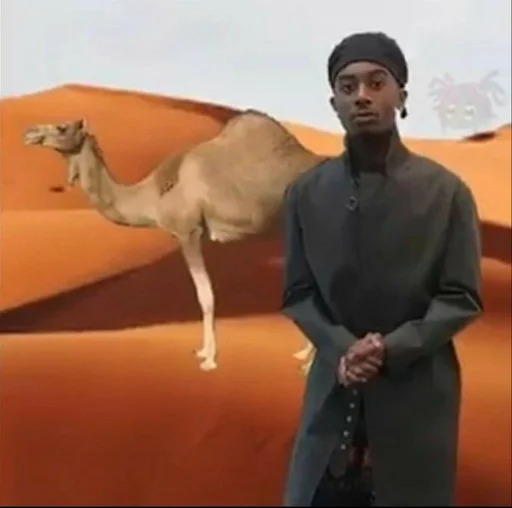 пустыня Арабский верблюд верблюд