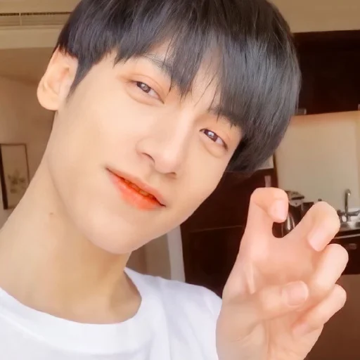 Sticker Юньси - 5