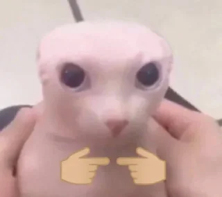 Стикер Meme stickers - 5