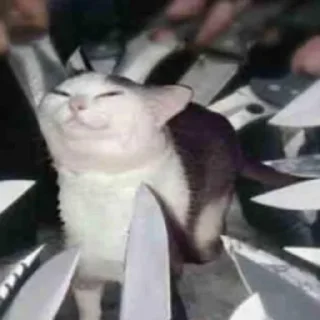 Стикер Meme stickers - 1