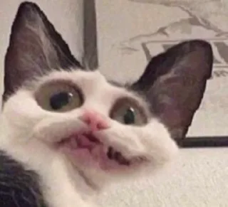 Стикер Meme stickers - 4