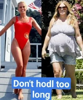 Sticker My Crypto Journey @leorichy - 11