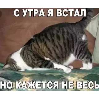 Sticker YqP_BNT2h7 - 5