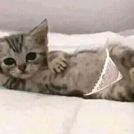 Больше стикеров: @sticerru - 