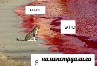 Стикер Больше стикеров: @sticerru - 11