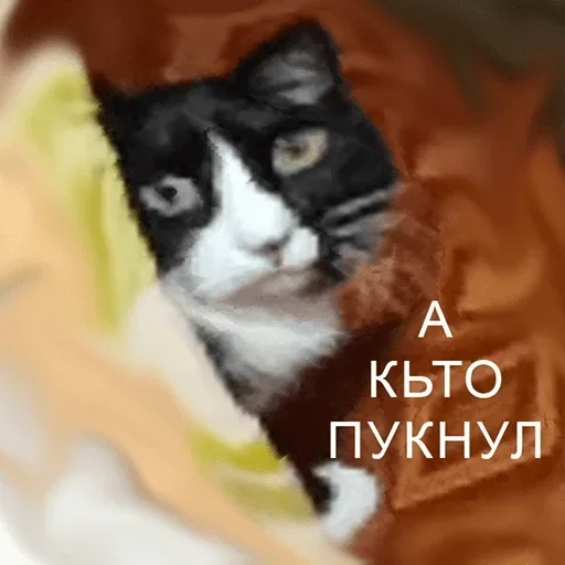 Больше стикеров: @sticerru - 