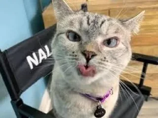 Sticker ٠ ꓚꓧ : @UcUcc . - 6