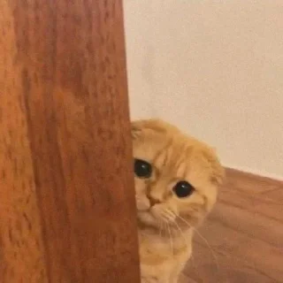 Sticker ٠ ꓚꓧ : @UcUcc . - 3