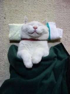 Sticker ٠ ꓚꓧ : @UcUcc . - 7