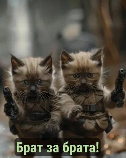 Военные котики. сделано:@GordoKotik - млекопитающее