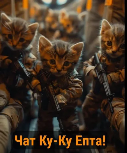 млекопитающее кошка скриншот