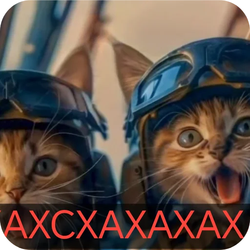 text cat small to medium-sized cats