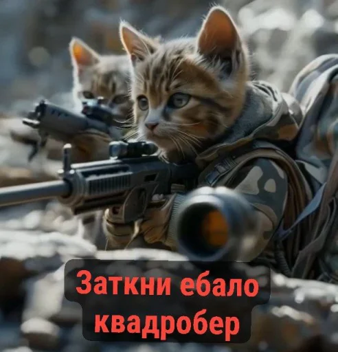 cat weapon ranged weapon