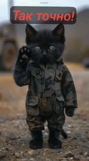 млекопитающее игрушка земля