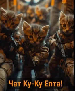 млекопитающее кошка скриншот