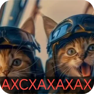 СМС кошка кошки малого и среднего размера