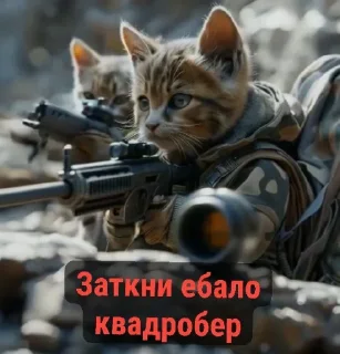 кошка оружие оружие дальнего боя