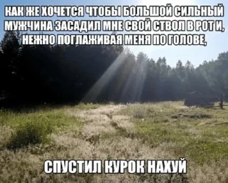 Sticker ✨ Yuki Stickers ✨ - 0