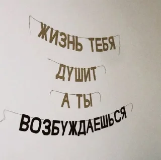 Sticker ✨ Yuki Stickers ✨ - 1