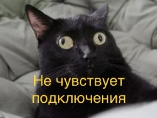 Sticker ✨ Yuki Stickers ✨ - 5