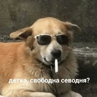 Sticker ✨ Yuki Stickers ✨ - 2