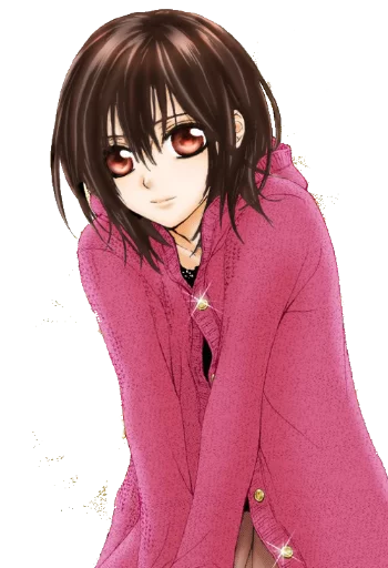  Vampire Knight(YukiKros) - 