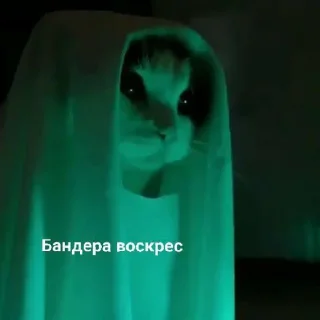 Sticker юкрейн стайл 2.0 - 5