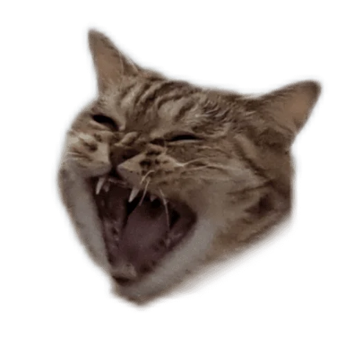 Sticker Ахаха - 0