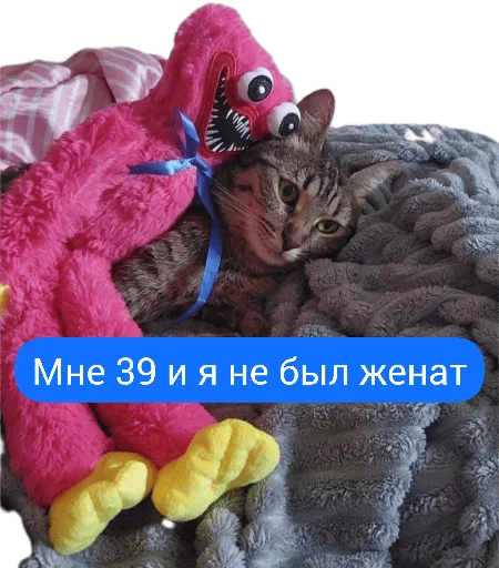 Sticker Кошке - 1