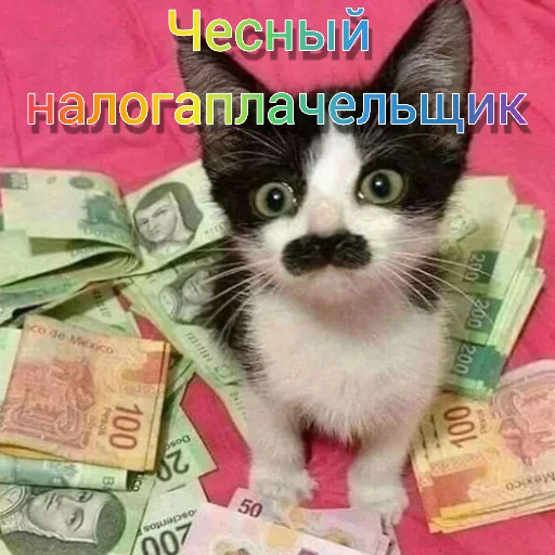 Sticker Кошке - 0