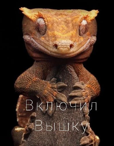 Стикер Yulissepack5 - 1