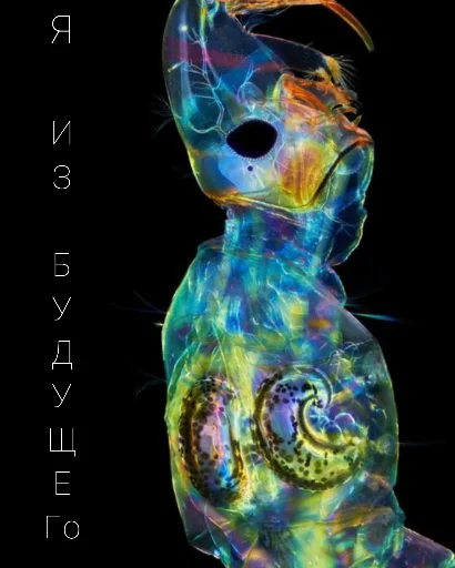 Sticker Yulissepack5 - 1