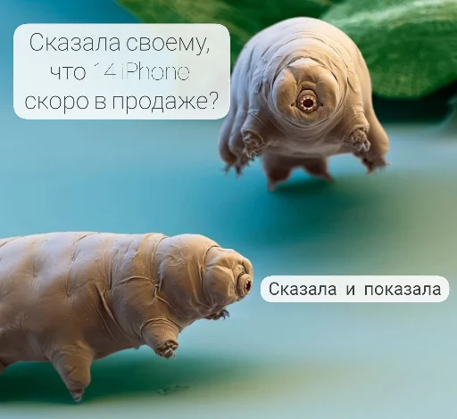 Стикер Yulissepack5 - 1