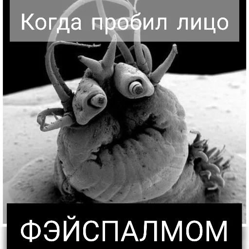 Стикер Yulissepack5 - 1