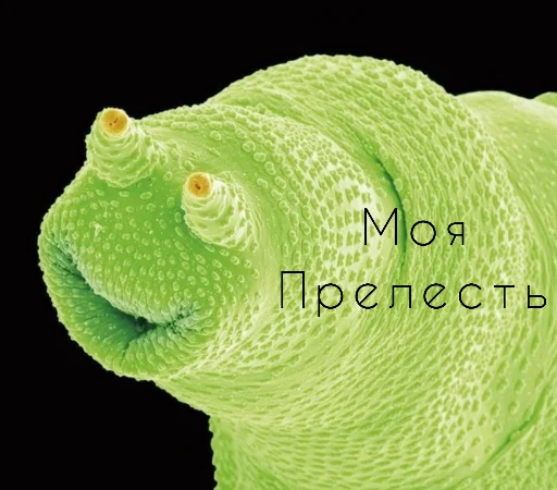 Sticker Yulissepack5 - 1