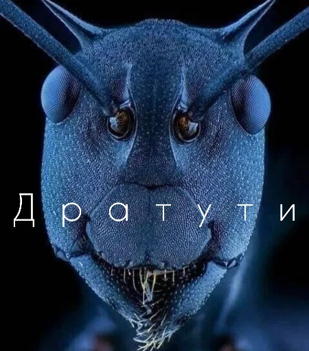 Sticker Паразиты - 11